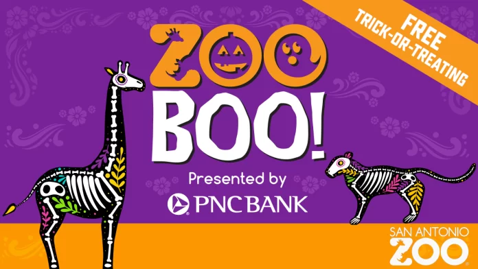 2024 Zoo Boo. San Antonio Zoo