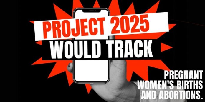 Project 2024