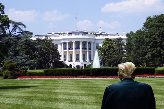 Did Trump Redefine What Makes You ‘Hireable’?