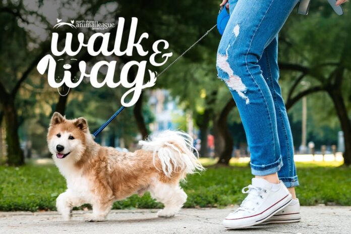 Walk, Wag, and Save Lives—Join the 9th Annual Fundraiser Today