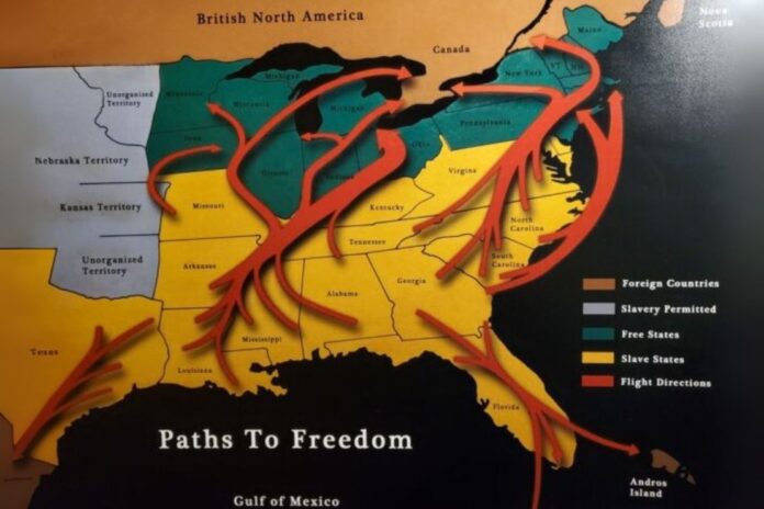 Crossing the Rio Grande to Freedom