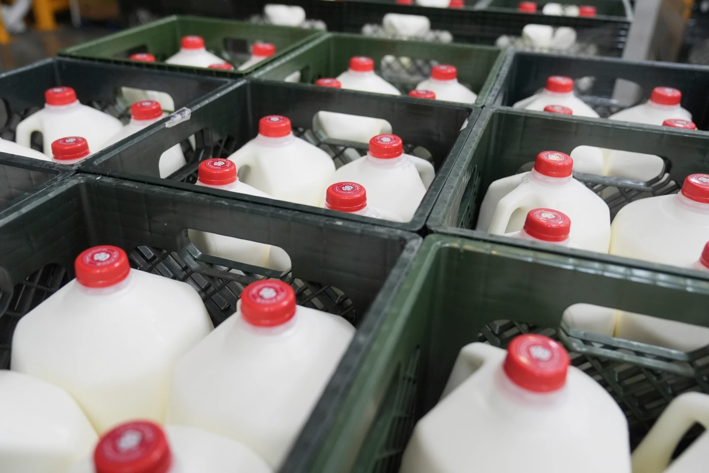 Crates of milk are shown in the San Francisco-Marin Food Bank warehouse in San Francisco, Wednesday, July 2, 2025. (AP Photo/Jeff Chiu, File)