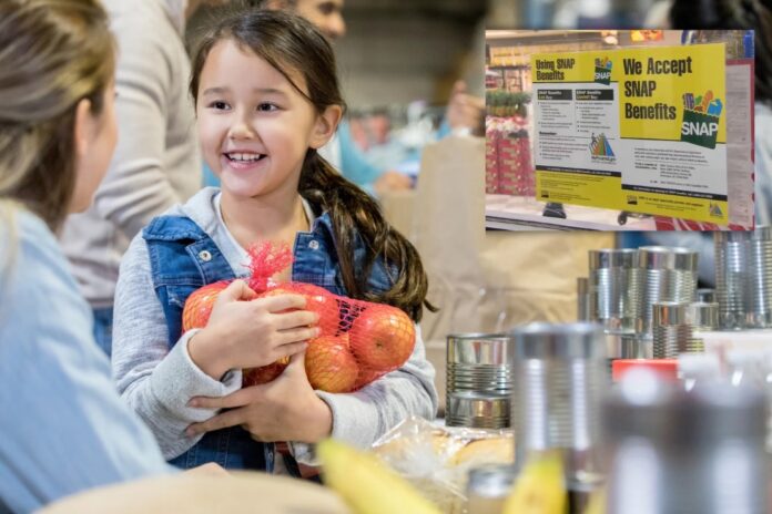 City of San Antonio Launches Emergency Food Distribution Plan Amid SNAP Benefit Pause