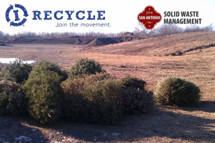 City Opens Free Christmas Tree Recycling Sites Across San Antonio