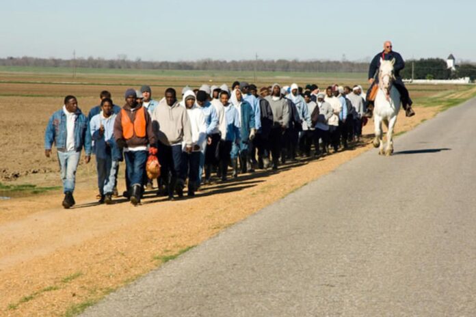 The Farm: Angola, USA — How a Prison Documentary Exposes Life Sentences and Mass Incarceration