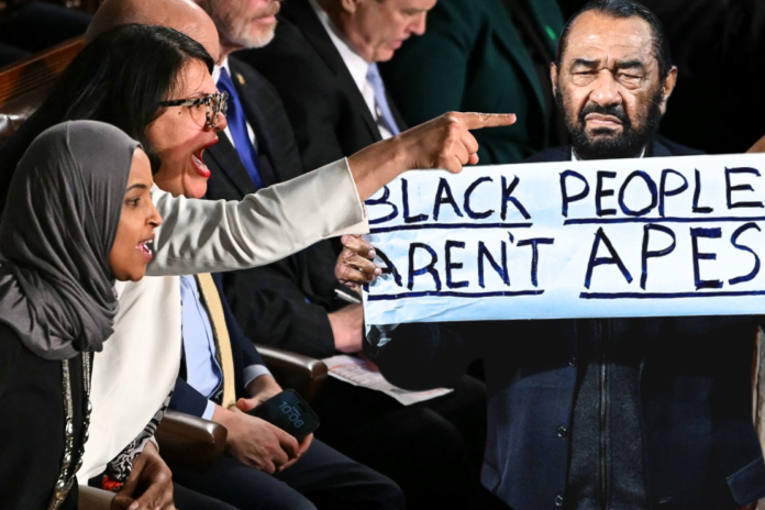 Democrats protest Trump State of the Union during joint session of Congress in Washington