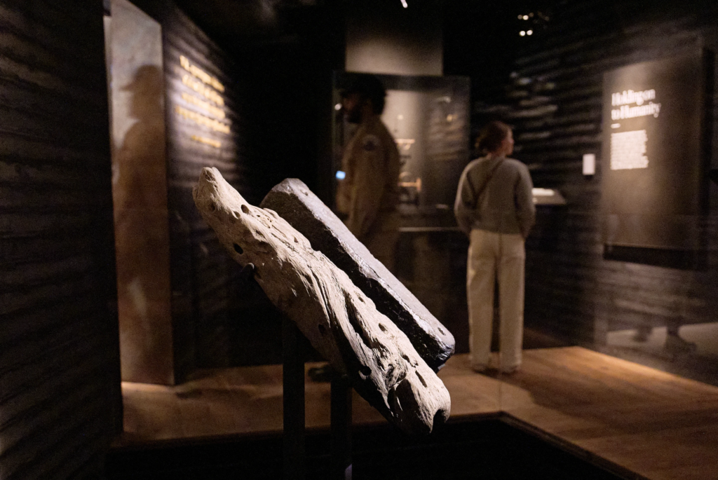 People visit the National Museum of African American History and Culture’s Middle Passage exhibit, including a wooden timber, the artifact at left, from the slave ship, the São José-Paquete de Africa, Friday, March 6, 2026, in Washington. (AP Photo/Jacquelyn Martin)