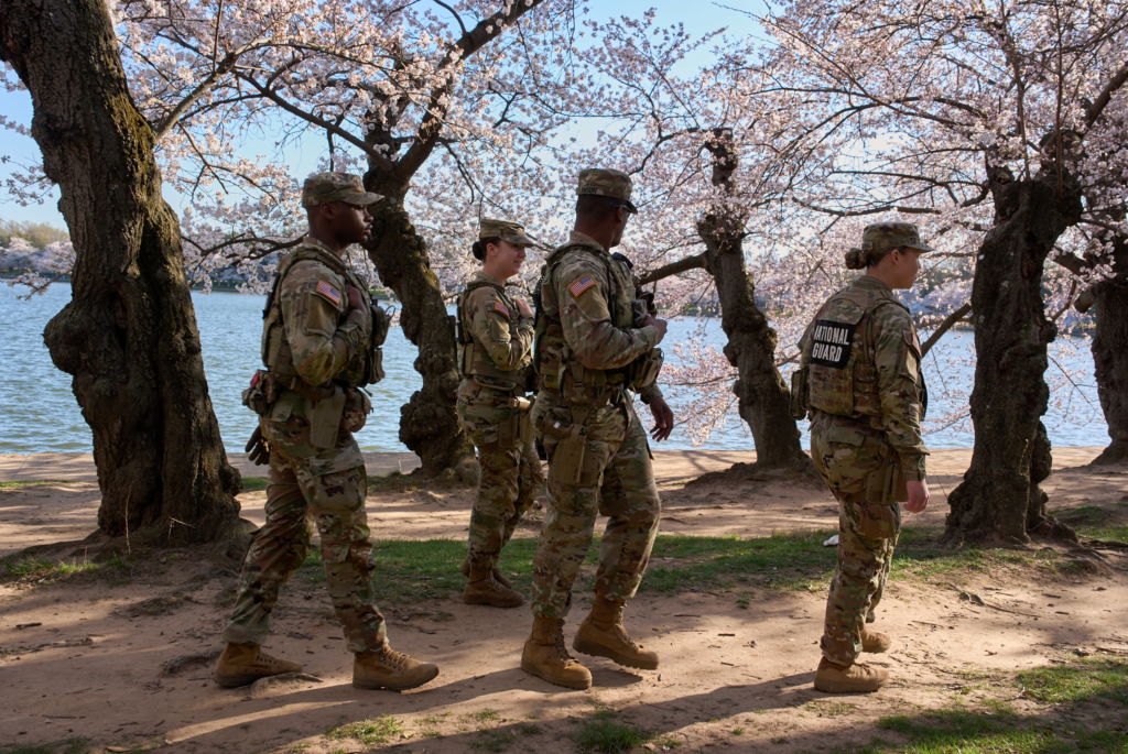 Members of the Mississippi National Guard patrol among the cherry blossom trees along the tidal basin, March 24, 2026, in Washington. (AP Photo/Jacquelyn Martin, File)
