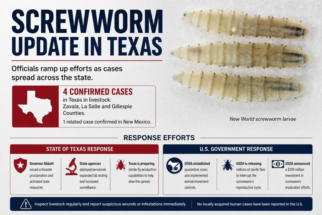 Screwworm Update in Texas