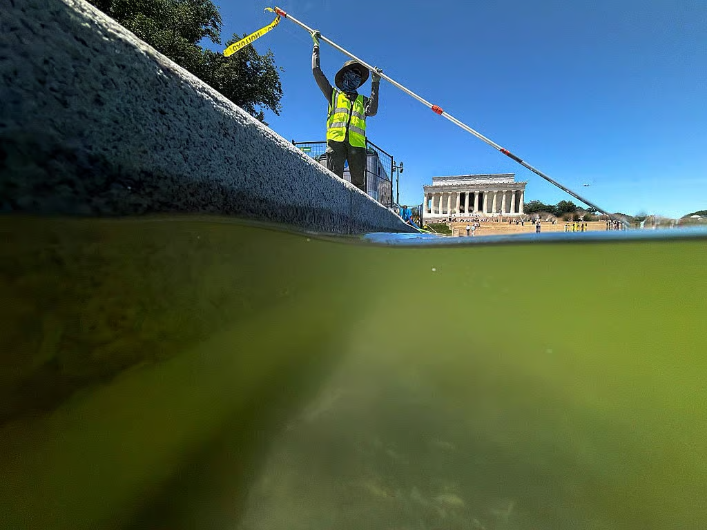 U.S. National Park Service employee uses a vacuum pump to clean algae off the bottom of the newly repainted Lincoln Memorial Reflecting Pool on the National Mall on June 16, 2026 in Washington, DC.(Photo by Chip Somodevilla/Getty Images)